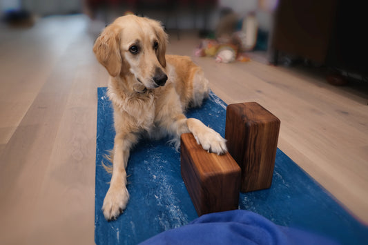 Hardwood Yoga Blocks – Handmade Solid Wood Support