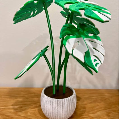 Monstera Plant Coaster Set – 3D Printed Coasters, Plant Lover Gift, Eco-Friendly Home Decor