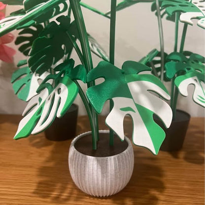 Monstera Plant Coaster Set – 3D Printed Coasters, Plant Lover Gift, Eco-Friendly Home Decor